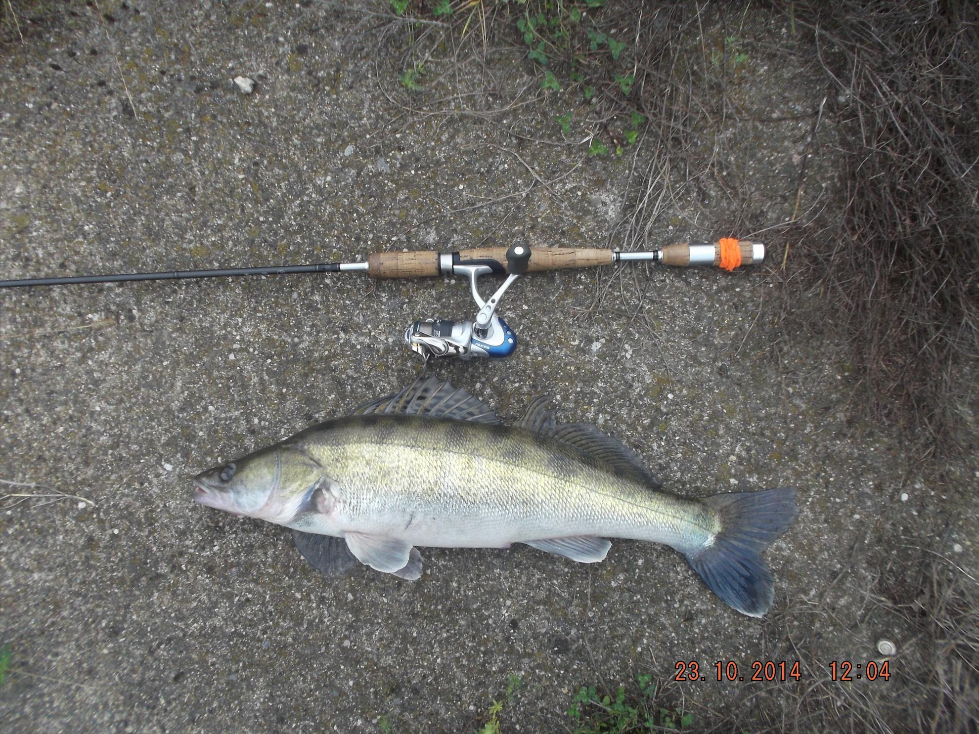 capturi - norocel-istratescu-028.jpg